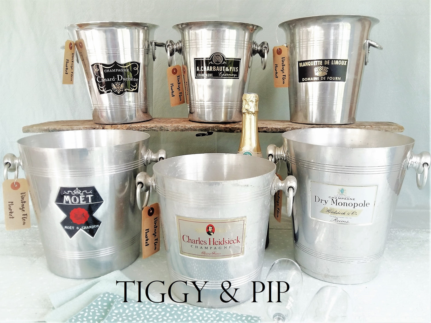 Collection of Champagne Ice Buckets by Tiggy and Pip