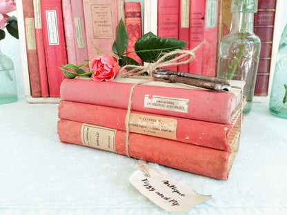 Stack of THREE Antique French Pink Books from Tiggy & Pip - Just €84! Shop now at Tiggy and Pip