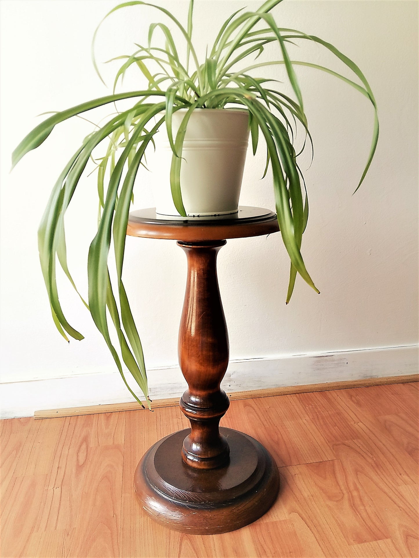 Polished Wood Pedestal Plant Stand from Tiggy & Pip - €149.00! Shop now at Tiggy and Pip