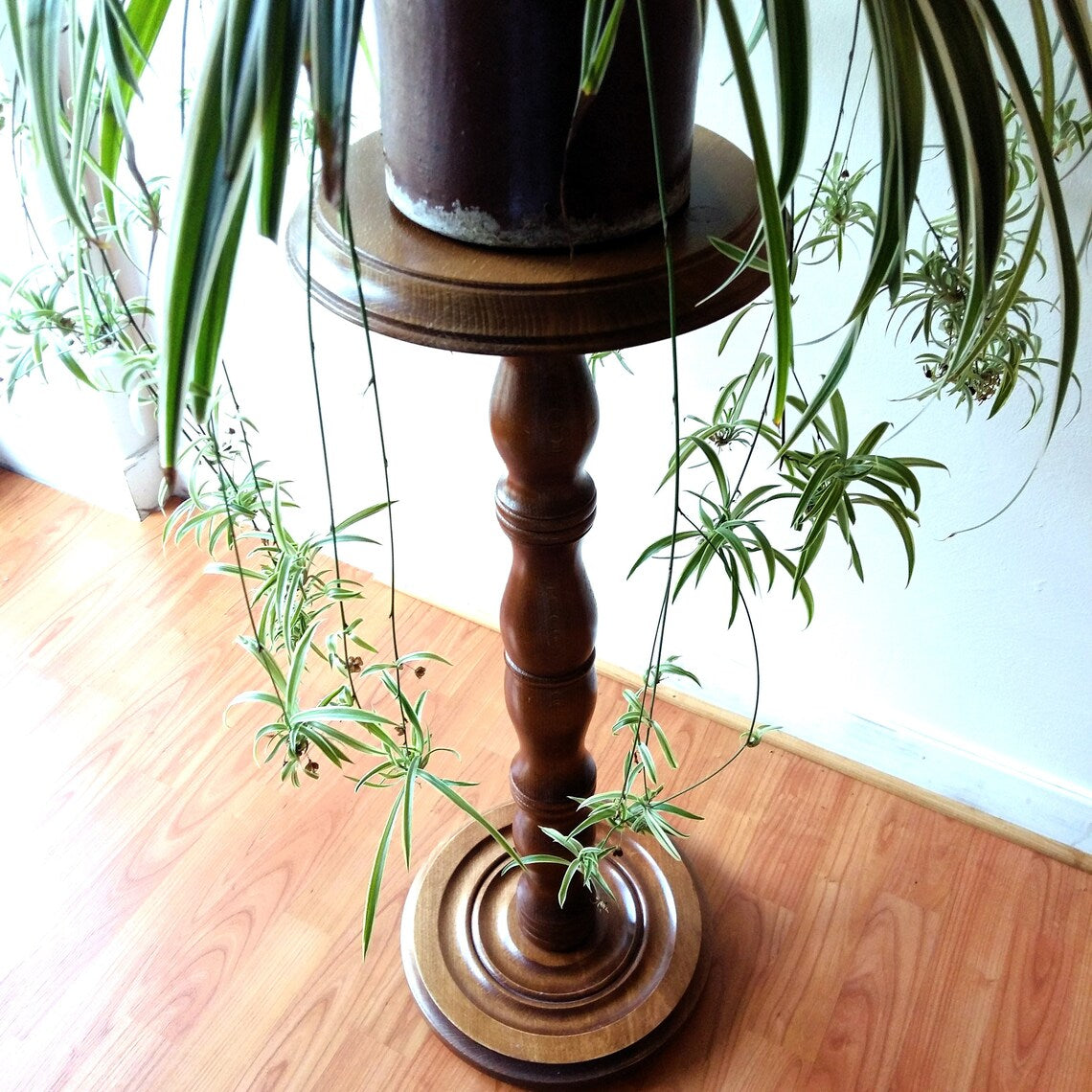 Wooden Pedestal Plant Stand from Tiggy & Pip - Just €220! Shop now at Tiggy and Pip