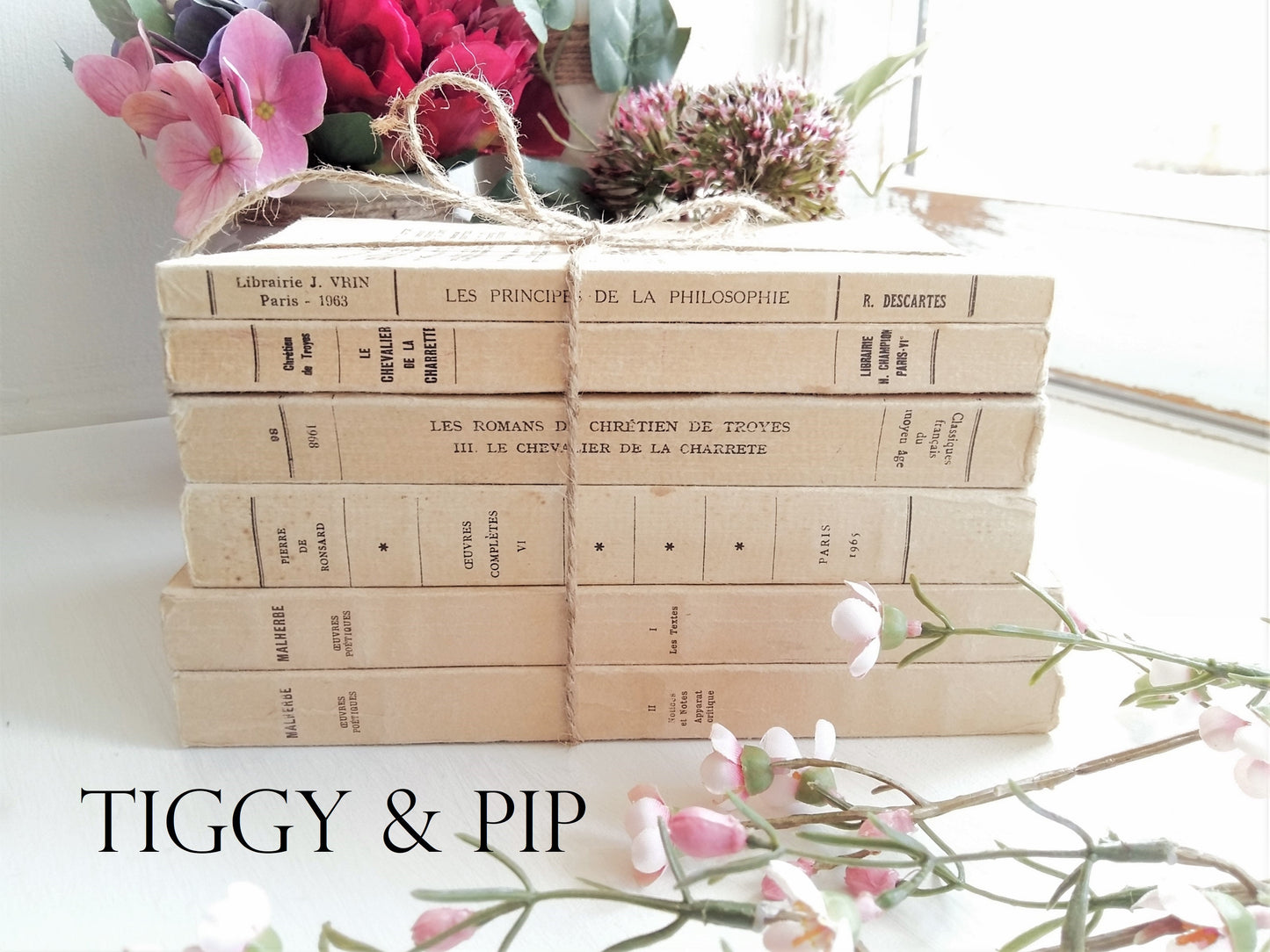 Books by Descartes and Malherbe from Tiggy & Pip - €144.00! Shop now at Tiggy and Pip