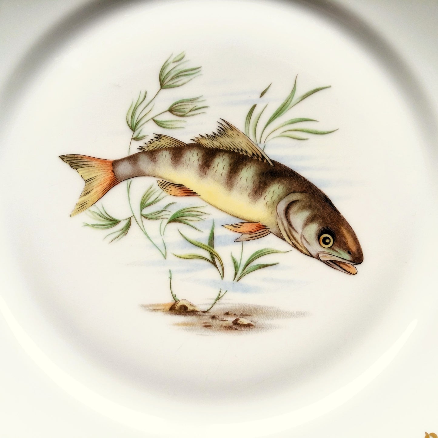 Set of FOUR Vintage French Fish Plates from Tiggy & Pip - Just €112! Shop now at Tiggy and Pip