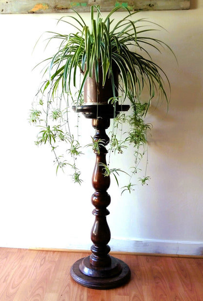 Tall Wooden Pedestal Plant Stand from Tiggy & Pip - Just €260! Shop now at Tiggy and Pip