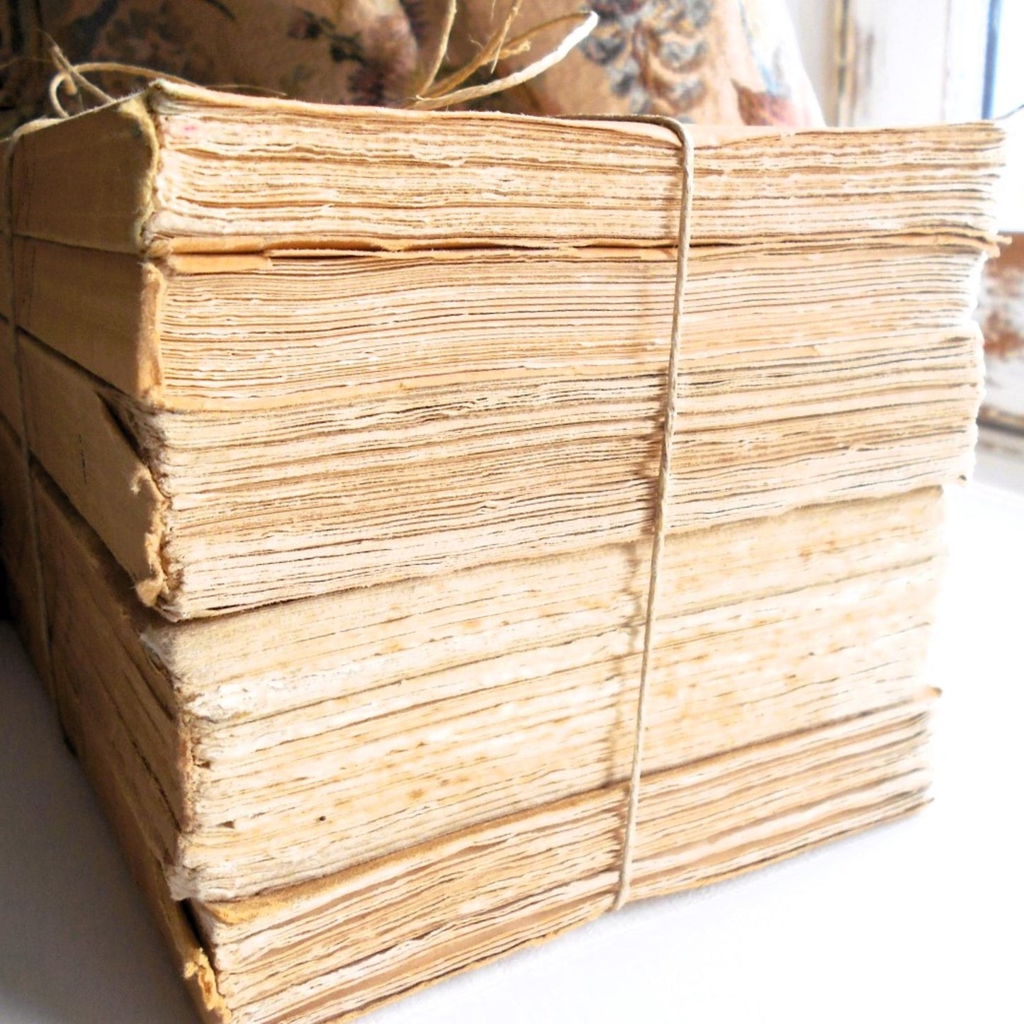 Beige Book Stack of Classic Greek Literature by Aristophanes, Thucydides, Xenophon & Theocritus. from Tiggy & Pip - €120! Shop now at Tiggy and Pip