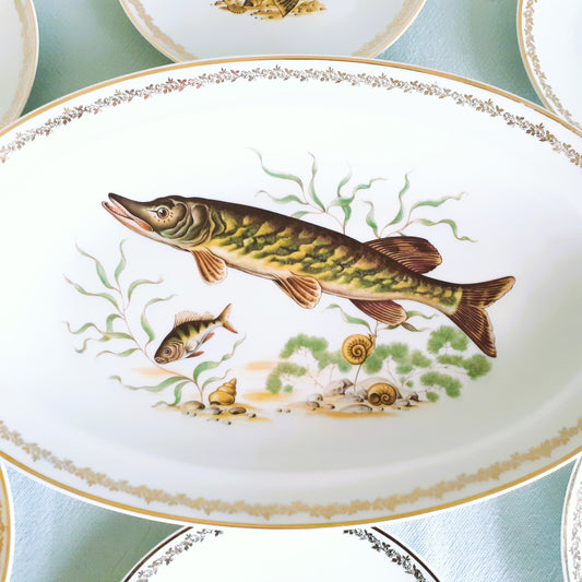Set of Five Limoges Porcelain Fish Plates €130 with FREE shipping. Buy now at Tiggy and Pip