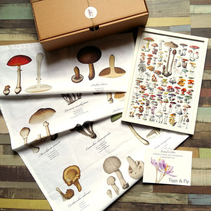 Mushroom Gift Box. Mushroom Lover Gift from Tiggy & Pip - Just €36! Shop now at Tiggy and Pip