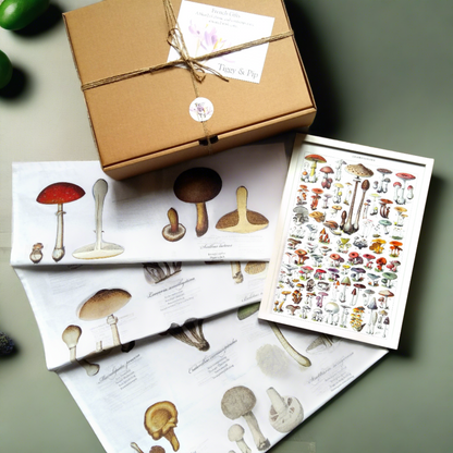 Mushroom Gift Box. Mushroom Lover Gift from Tiggy & Pip - Just €36! Shop now at Tiggy and Pip