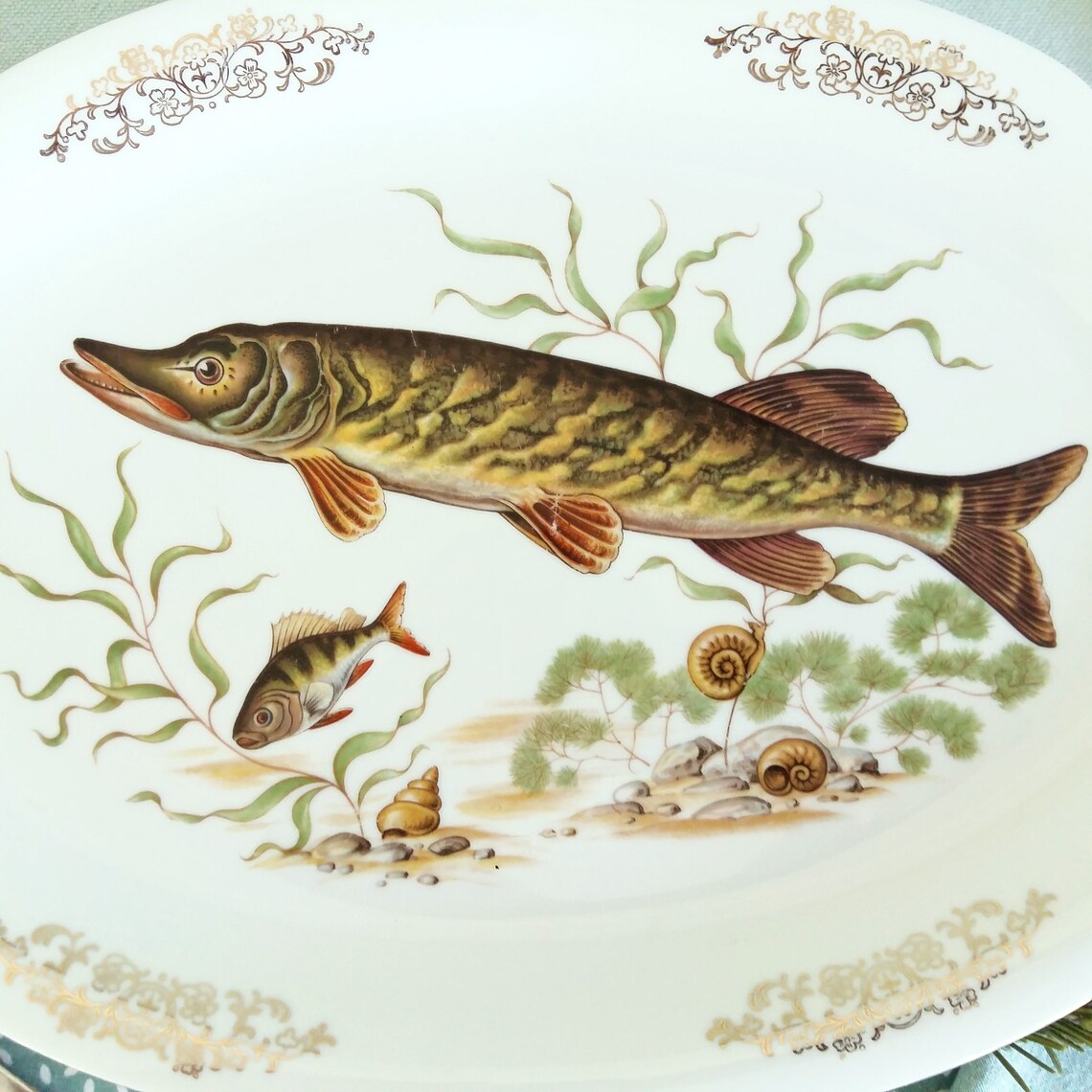 Pike Fish Platter