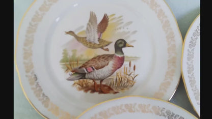 Six Game Hunting Dinner Plates