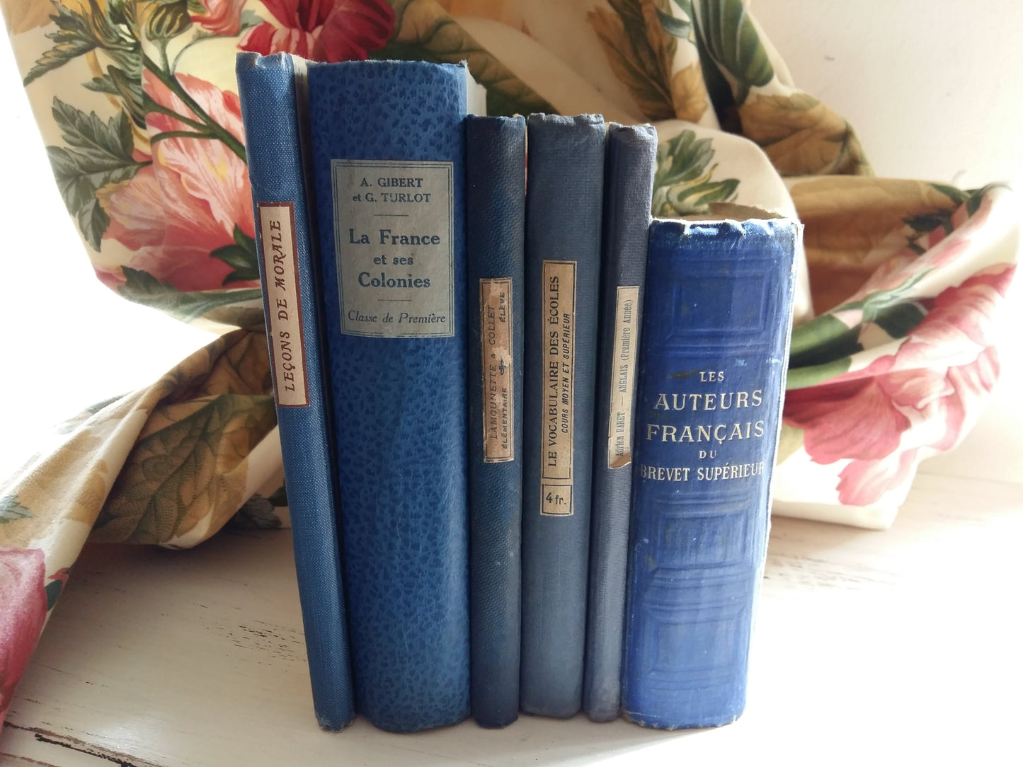 French Royal Blue Book Bundle of Early 1900's Antiquarian School Books. from Tiggy & Pip - €138.00! Shop now at Tiggy and Pip