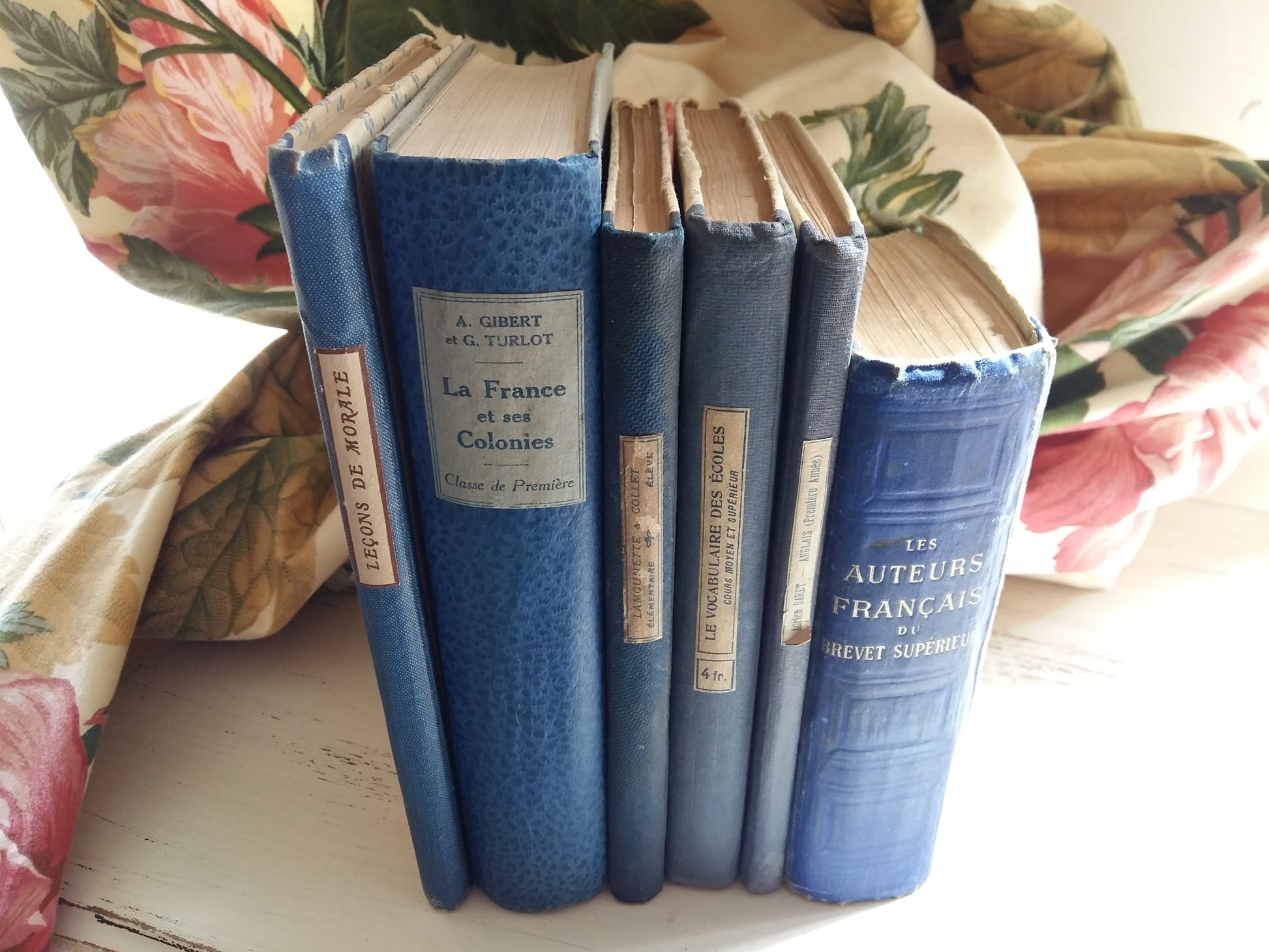 French Royal Blue Book Bundle of Early 1900's Antiquarian School Books. from Tiggy & Pip - €138.00! Shop now at Tiggy and Pip