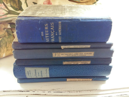 French Royal Blue Book Bundle of Early 1900's Antiquarian School Books. from Tiggy & Pip - Just €138! Shop now at Tiggy and Pip