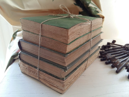 Green Book Stack. 1900s Antiquarian Books by Descartes and Diderot. from Tiggy & Pip - Just €120! Shop now at Tiggy and Pip