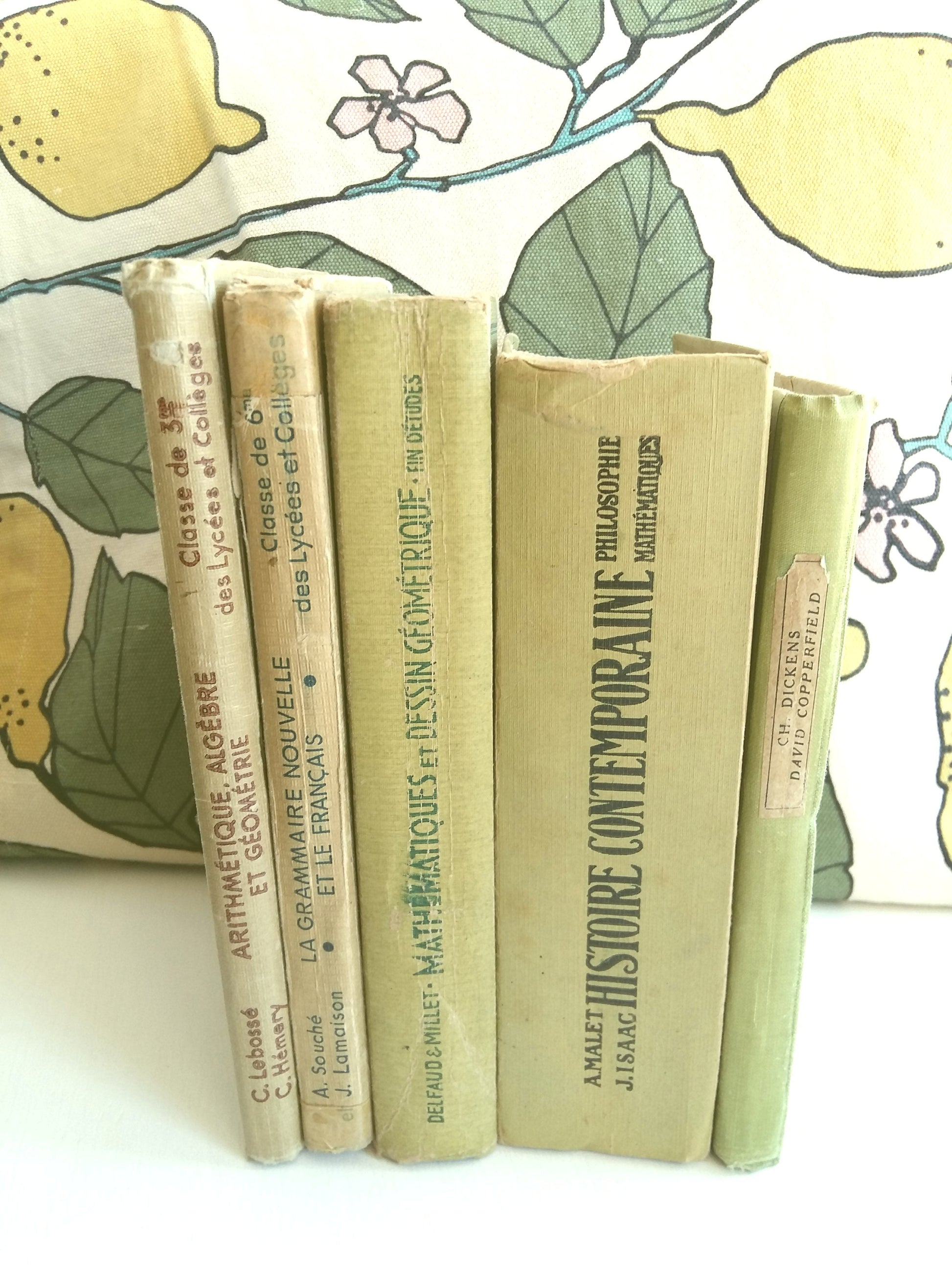 Lime Green Stack of French School Books. from Tiggy & Pip - €120.00! Shop now at Tiggy and Pip