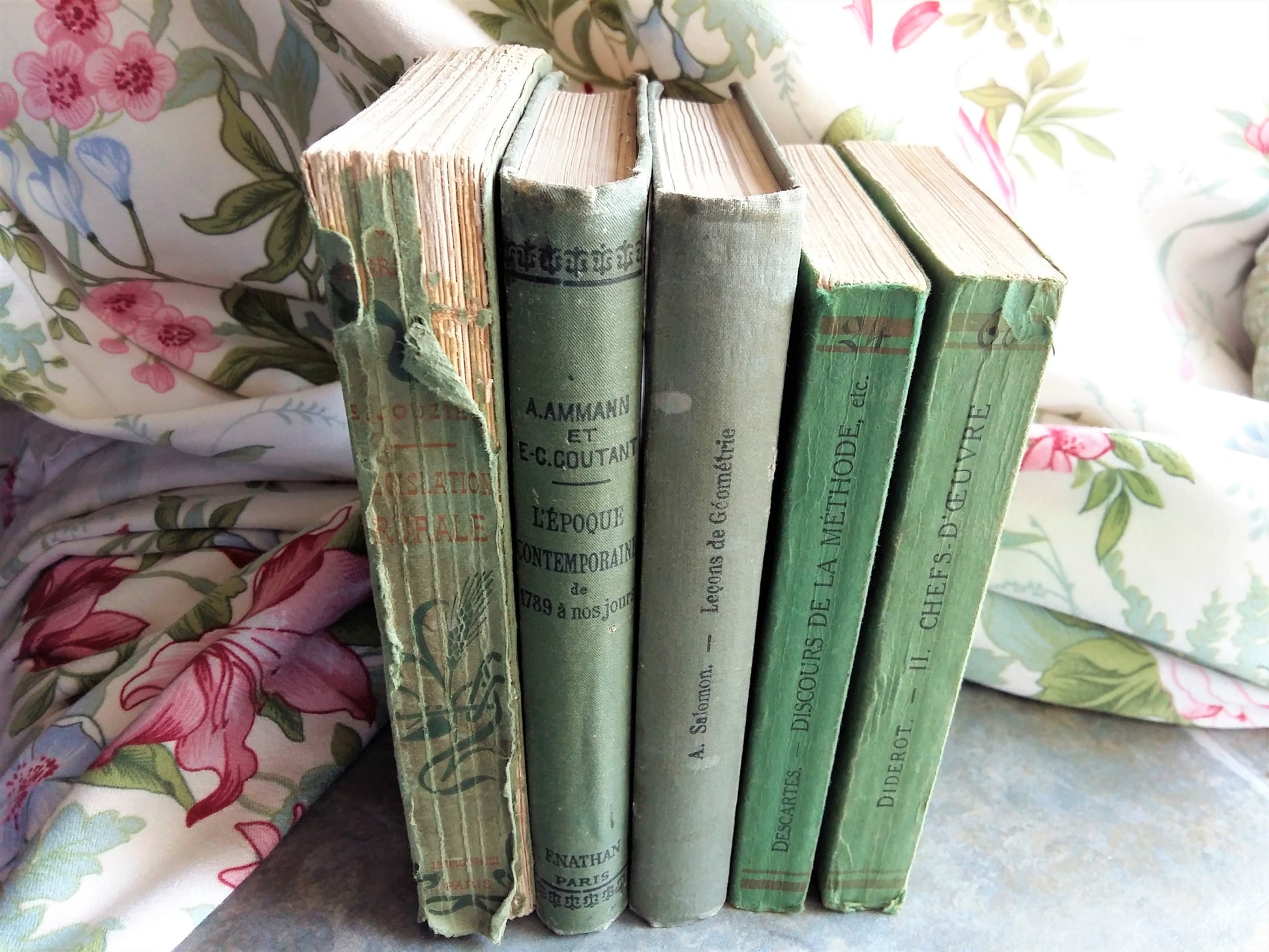 Green Book Stack. 1900s Antiquarian Books by Descartes and Diderot. from Tiggy & Pip - €120.00! Shop now at Tiggy and Pip