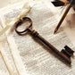 Huge 5¼"/13.5cms Antique Iron Skeleton Key. Iron Key Paperweight. from Tiggy & Pip - €26.00! Shop now at Tiggy and Pip