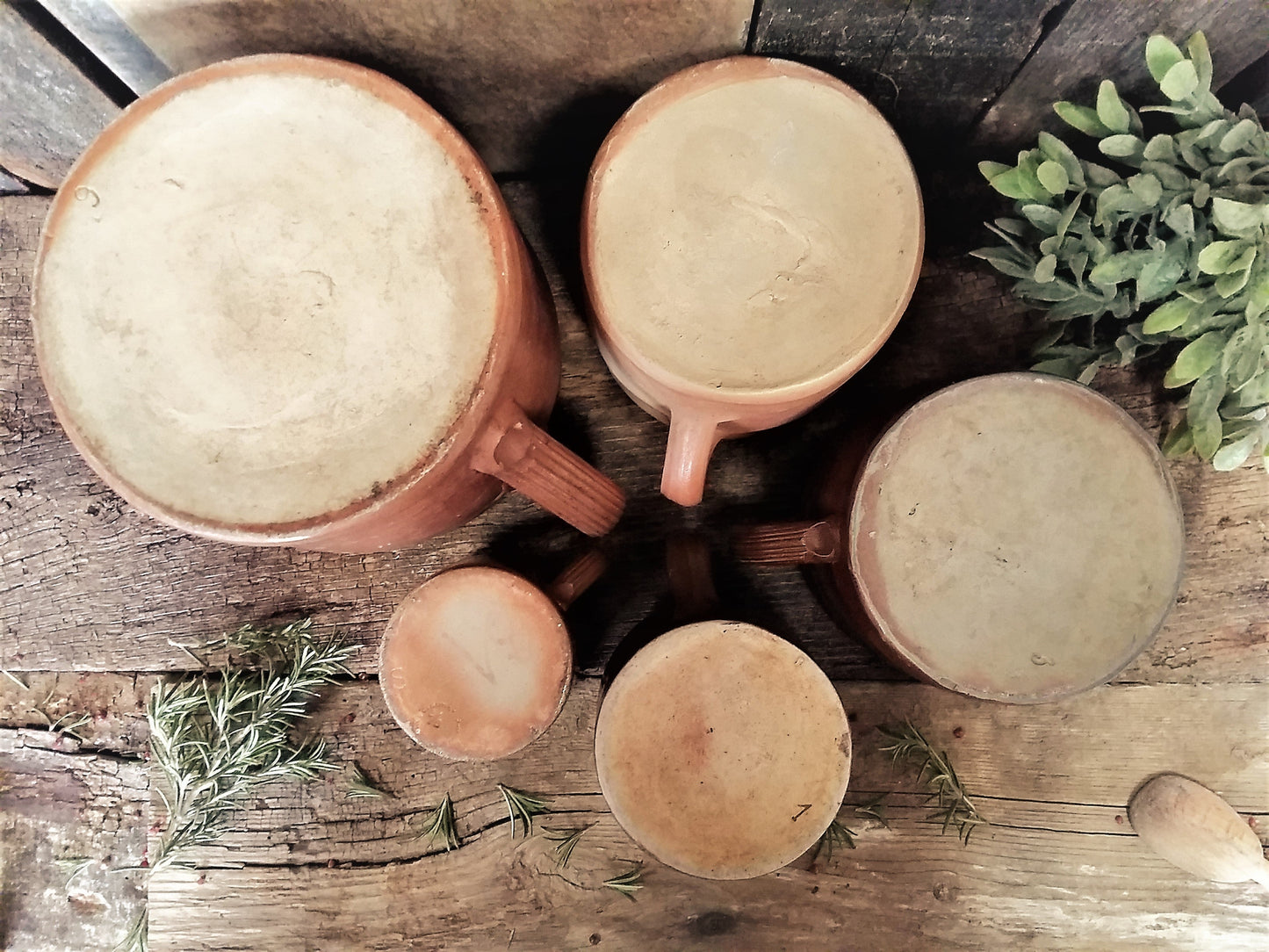 Five Antique French Confit Pots. Kitchen Planters/ Utensil Storage Jars. from Tiggy & Pip - €275.00! Shop now at Tiggy and Pip