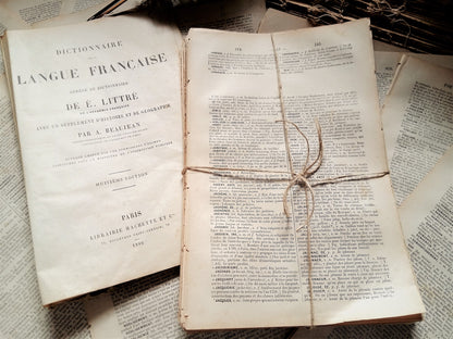 100+ Antique French Book Pages, Dating from 1886. Vocabulary Dictionary Pages. from Tiggy & Pip - Just €38! Shop now at Tiggy and Pip