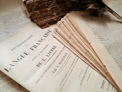 100+ Antique French Book Pages, Dating from 1886. Vocabulary Dictionary Pages. from Tiggy & Pip - Just €38! Shop now at Tiggy and Pip
