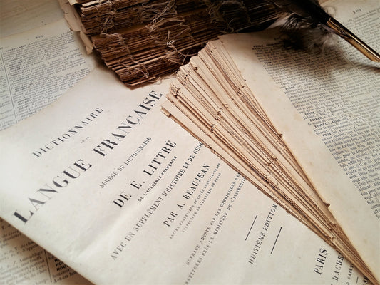 100+ Antique French Book Pages, Dating from 1886. Vocabulary Dictionary Pages. from Tiggy & Pip - €38.00! Shop now at Tiggy and Pip
